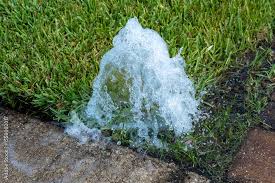 broken sprinkler head 2